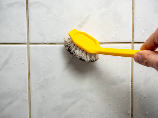 Best Local Mold Removal Service  in Seaside, CA