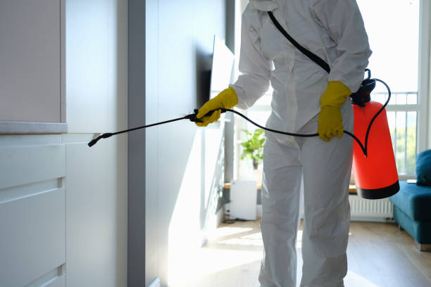 Crawl Space Mold Removal in Seaside, CA