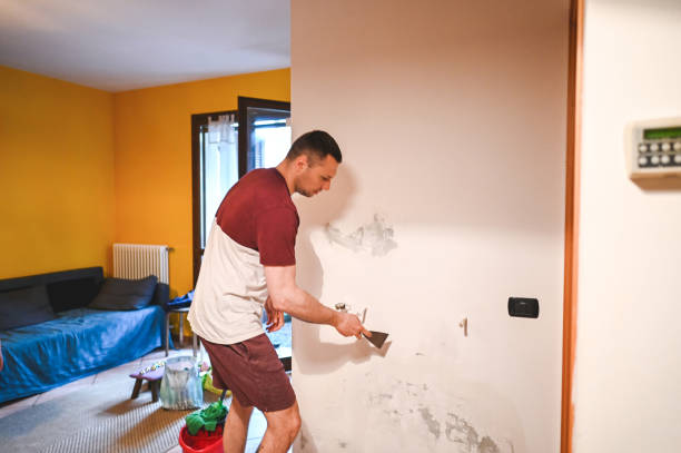 Mold Removal and Inspection in Seaside, CA