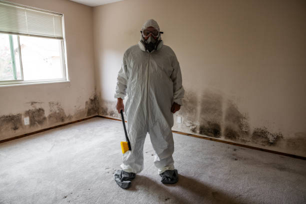Mold Testing and Removal in Seaside, CA